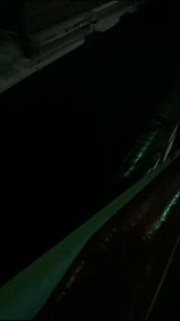 Эд4м 0251 на станций Лосиноостровская смотреть онлайн