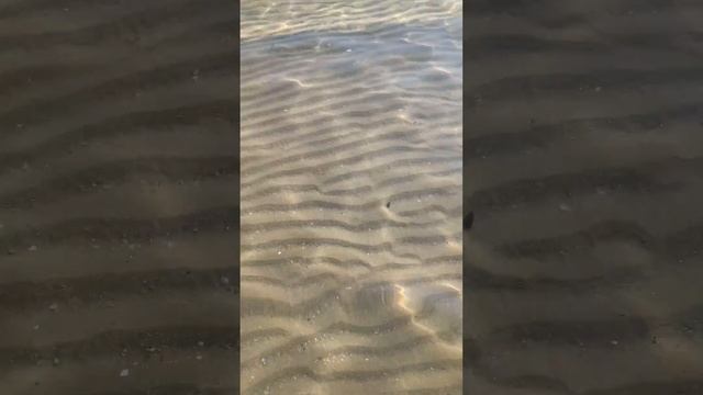 Отдых в пансионате Химик смотреть онлайн