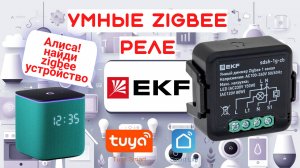 реле zigbee EKF