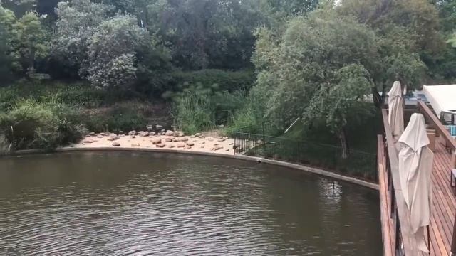 Йоханнесбург,отель Southern Sun (Monte Casino) смотреть онлайн