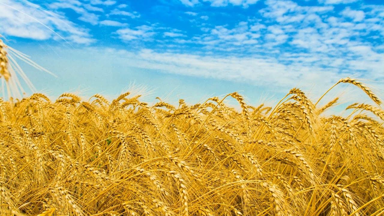 Вечер памяти Бережного Б.А. смотреть онлайн