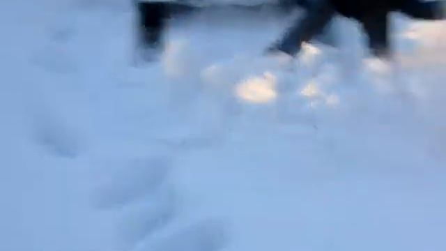 нивка п сукко7 смотреть онлайн
