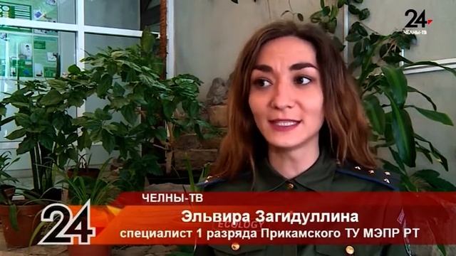 Незаконная свалка снега смотреть онлайн