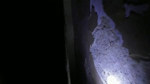 Ночь одному в заброшке