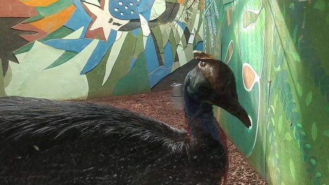 Московский зоопарк смотреть онлайн