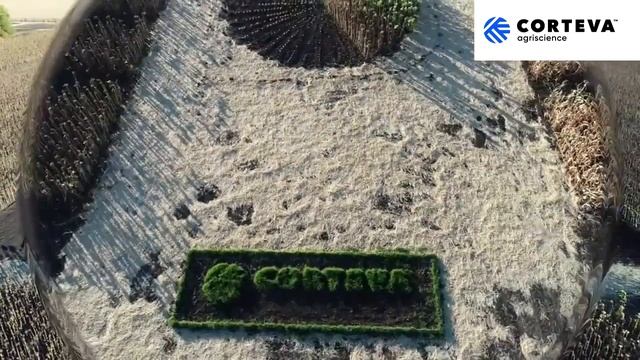 Corteva Agriscience™. АгроАкадемия. Живой логотип