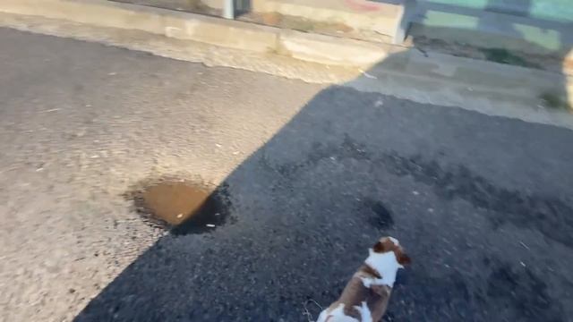 Я возмущена Скай парком! Отстойная ситуация(