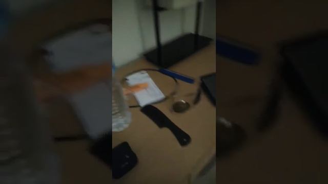 Номер в отеле 5⭐⭐⭐⭐⭐ смотреть онлайн