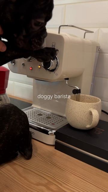 Рецепт латте соленая карамель с малиной☕️ Рецепт ищите в комментариях🔽 #кофе #кофедома #рецепт смотреть онлайн