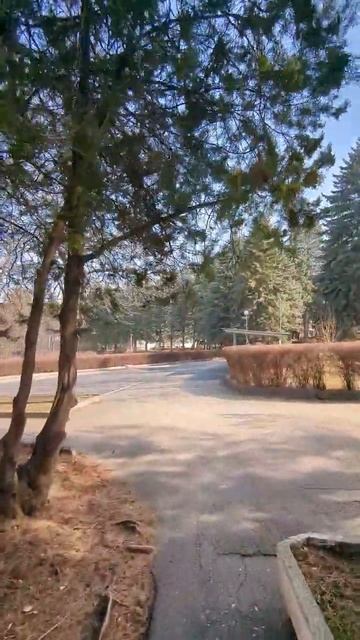 Отдыхаем в санаторий Пикет в Кисловодске смотреть онлайн