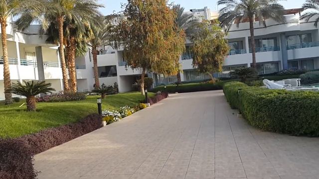 Египет  горки и бассейн отеля Queen Sharm Resort Egypt Beach Hotel Queen Sharm Resort