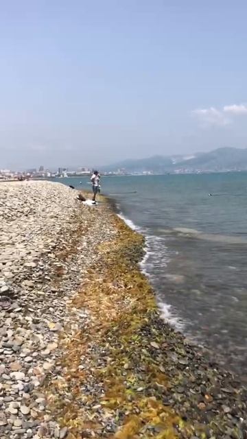 Новороссийск #гдежить #море #дорога вдоль бухты от Плексино#море и собаки плавают смотреть онлайн