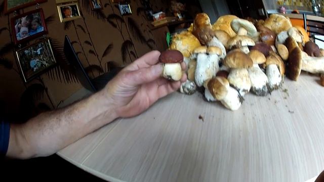 Суходолье. Урожай. 2016. смотреть онлайн