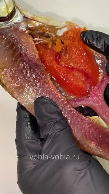 Вобла «Императорская» - XXL (22-27см)