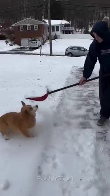 Big Fails 🤣🤣 #shorts #funny #fails (5) смотреть онлайн