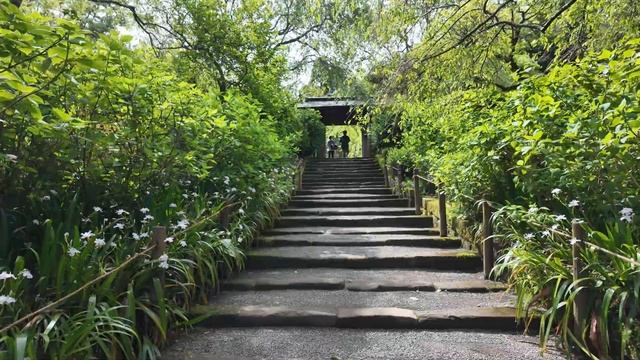 [1] Япония, Камакура. Виза, цены за перелет и отели. JR Pass, Suica, сим-карта смотреть онлайн