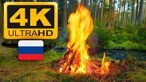 Fireplace 4K / Камин 4К / Звуки костра и природы