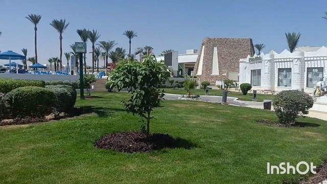 Альбатрос Шарм Резорт 4* отель👍Ура!!!День  рождение в Египте!🎂🎉🌴👏(2-ой выпуск)09.06-2024г.
