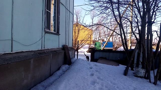 Муся на улице смотреть онлайн