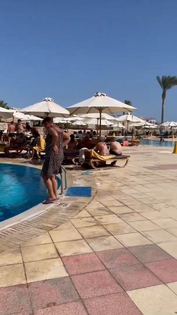 Egypt. Hilton Sharks bay. Red Sea. Sharm el Sheikh. Египет. Шарм эль Шейх.Красное море смотреть онлайн