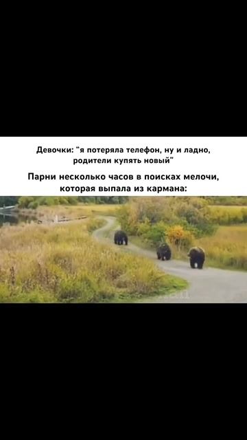 #shorts #смешные видео