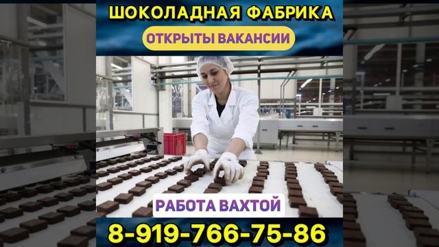 МОСКОВСКАЯ ОБЛАСТЬ, г. Ступино #top #rabota #rek #memes #деньги #вахта #москва #meme #cat #отзывы смотреть онлайн