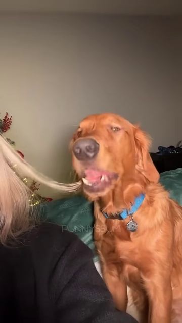 Big Fails 🤣🤣 #shorts #funny #fails (4) смотреть онлайн