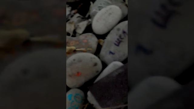 Отдых в Лоо Сентябрь 2017 г смотреть онлайн