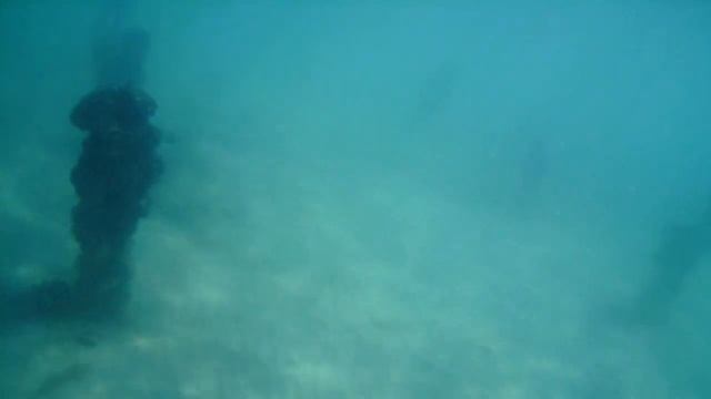 Paralia 2017. Lov na morskog jeza :) ... смотреть онлайн