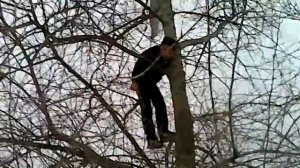 Чел повесился на дереве Fail 6