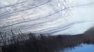 Заброшенные бульдозера в лесу и путь до них