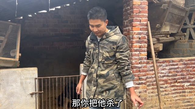小伙每个月的生活费不够花，打算把猪全卖了，280元一头有人要吗