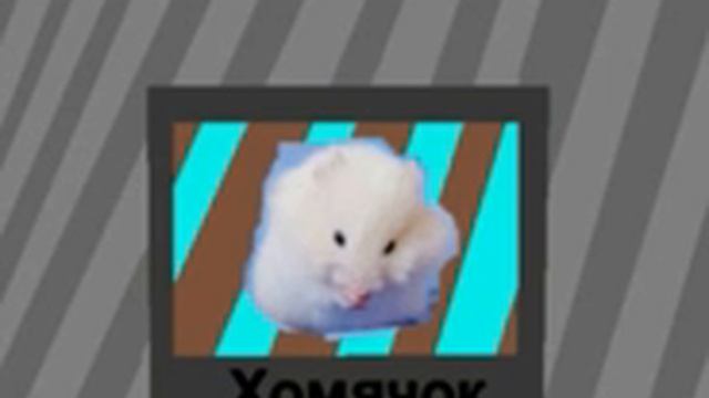 Песня Хомячок смотреть онлайн