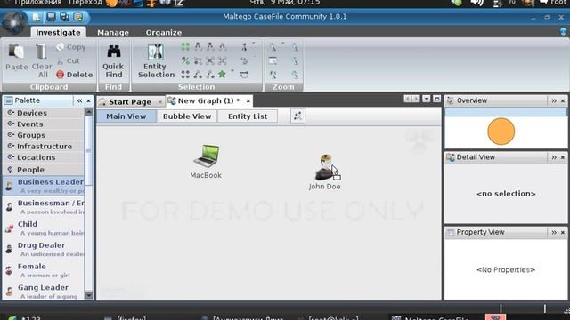Maltego CaseFile в Kali Linux