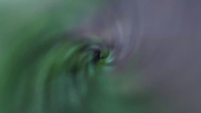 Эндуро покатушки. Вечерний выезд. Gopro Hero 12. #gopro12 #enduro #pov #dirtbike #4k #эндуро #mud