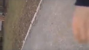 Ненормальные Школьники мучают маленькую собачку и втирают нам ДИЧЬ