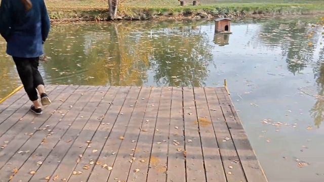 Ранчо в Санчелеево смотреть онлайн