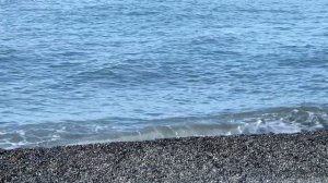 Пляж дельфин Адлеркурорт