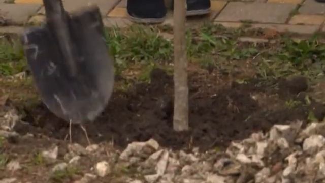 В нашем городе №5 Эстафета Победы смотреть онлайн