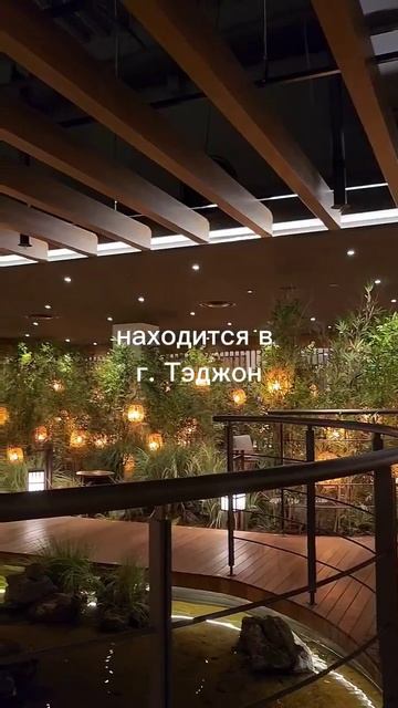 Кофейни в Корее отдельный вид искусства 😍 #влоги #кореявлог #влог #мужкореец смотреть онлайн