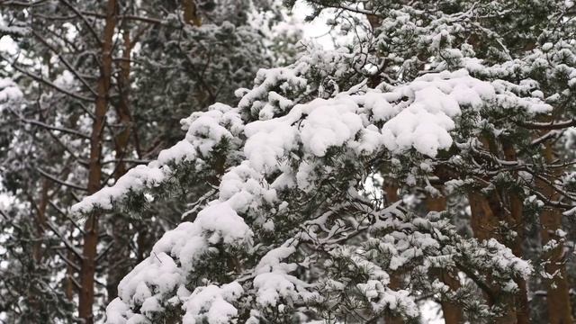 green n white смотреть онлайн