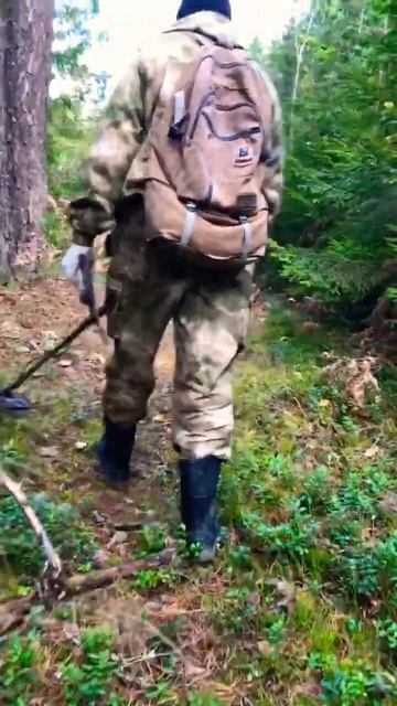 На черничной поляне ищем клад средних веков смотреть онлайн