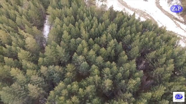 Лучшие моменты ЗиП// Best moments ZiP смотреть онлайн