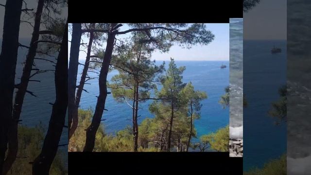 Отдых в г. Геленжике #2023 #отпуск #море #местогдетысчастлив смотреть онлайн