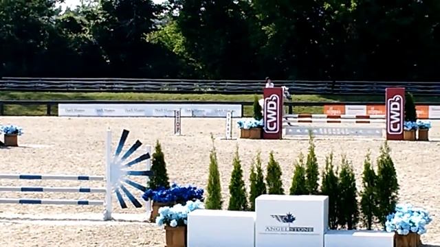 Clover and Bea, Pony jumpers at Angelstone
