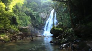 релакс,природа!