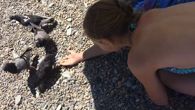 Я в кабардинка смотреть онлайн