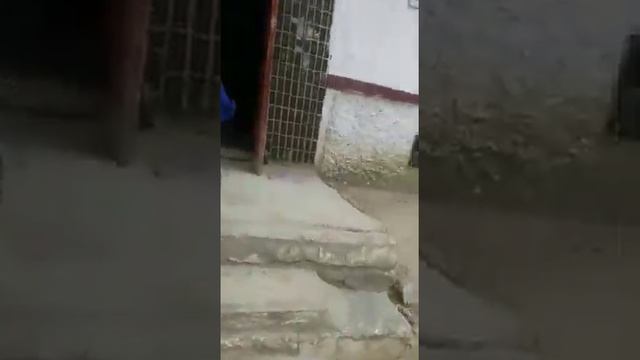 4мая была стрельба в Байконуре смотреть онлайн