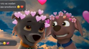 🥰РОККИ и ЗУМА 🥰