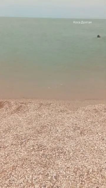 Азовское море Коса Долгая